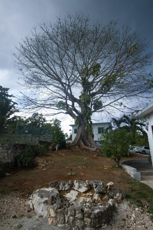 Rocky Top Retreat Negril Exterior photo